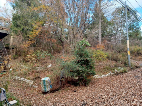 ▲遠目から ▲遠目から