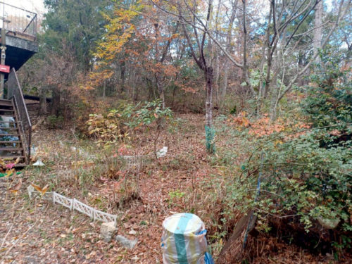 ▲お庭東側 ▲お庭東側