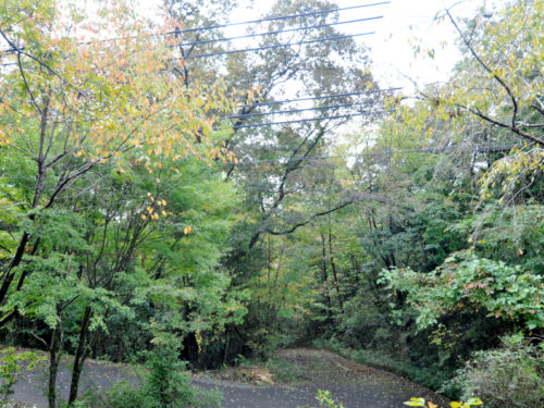 ▲物件からの景色 ▲物件からの景色